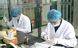 河南省亲子鉴定大概收费，河南省亲子鉴定办理流程