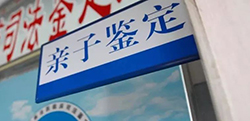 西藏区怀孕了如何做DNA亲子鉴定，西藏区孕期办理亲子鉴定办理方式