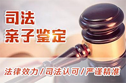 来宾司法亲子鉴定费用多少钱啊