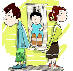 辽宁省想办理匿名亲子鉴定怎么做，辽宁省想办理隐私亲子鉴定基本的流程