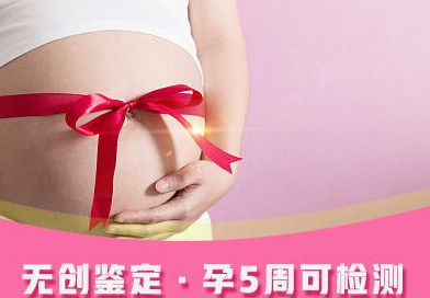 甘肃省怀孕怎么做亲子鉴定,甘肃省做怀孕亲子鉴定服务详解