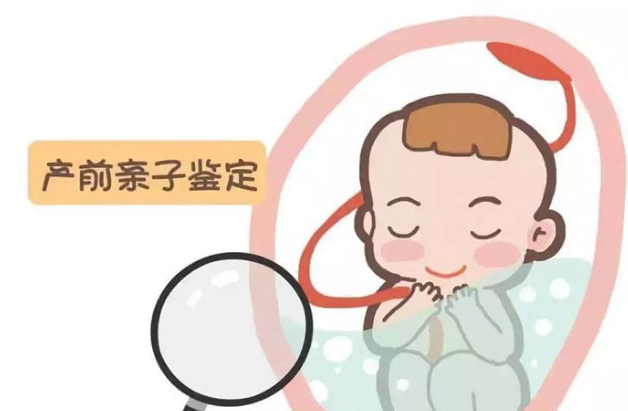 吉林刚怀孕怎么鉴定孩子生父是谁,吉林怀孕亲子鉴定需要多少钱