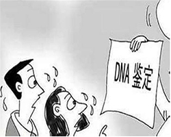 阜新去哪找正规DNA鉴定中心，阜新正规血缘检测费用是多少